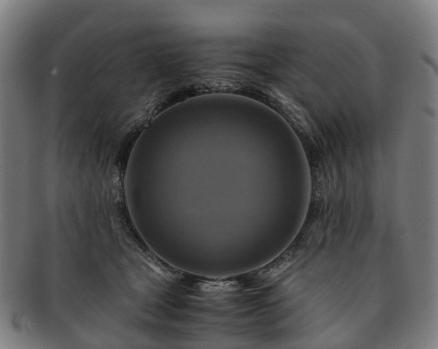 X0000091710465200708311120