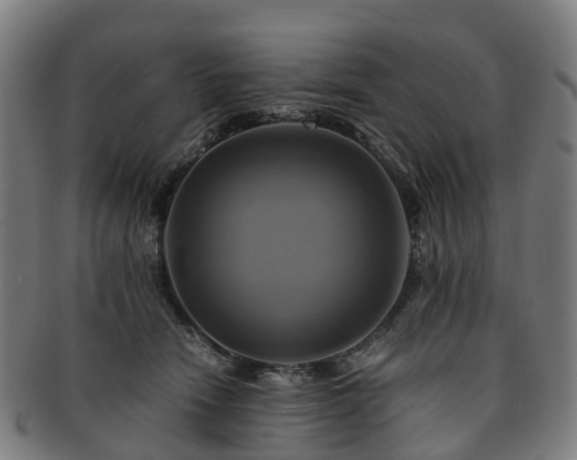 X0000091710466200708311120