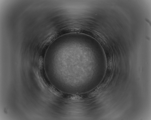 X0000091710468200708311120