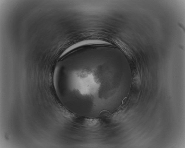 X0000091710469200708311120