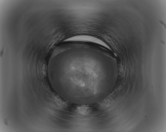 X0000091710470200708311120