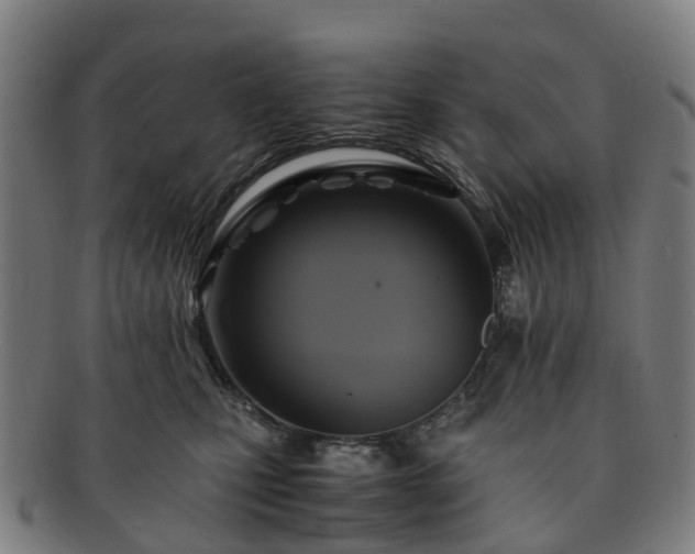 X0000091710471200708311120