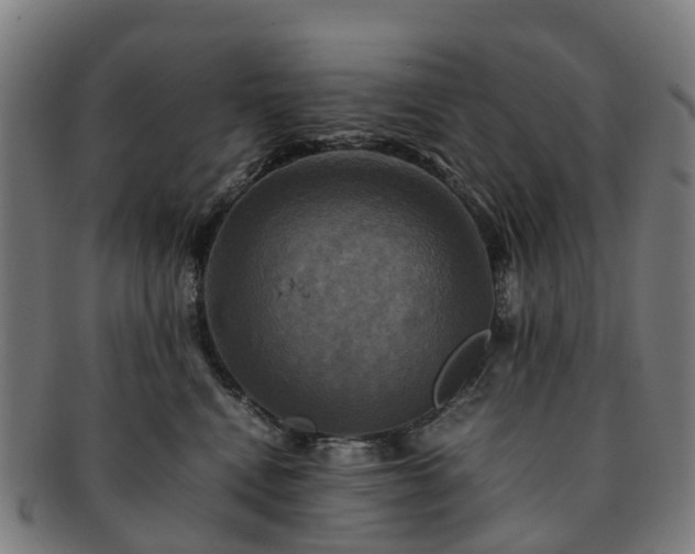 X0000091710472200708311120