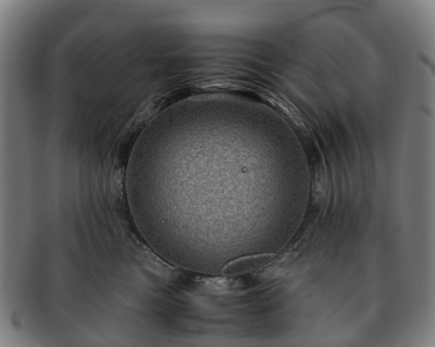 X0000091710473200708311120