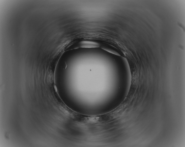 X0000091710474200708311120