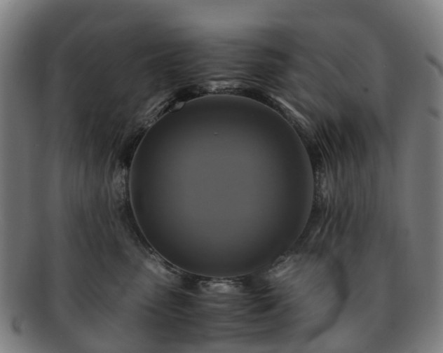 X0000091710475200708311120