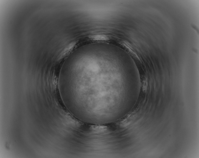 X0000091710476200708311120