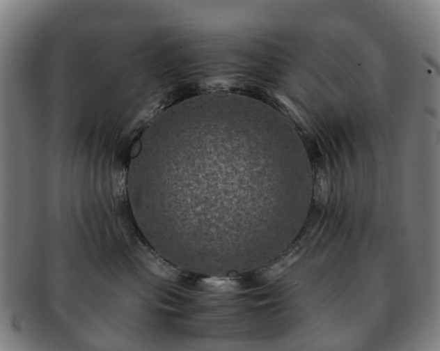 X0000091710477200708311120