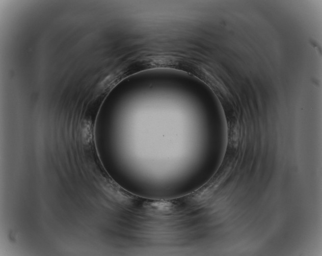 X0000091710478200708311120