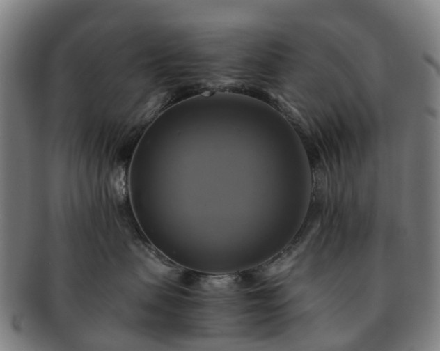 X0000091710479200708311120