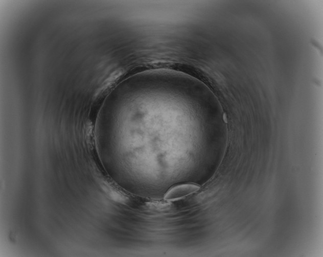 X0000091710480200708311120