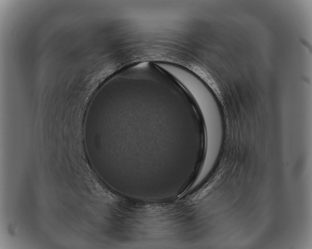 X0000091710481200708311119