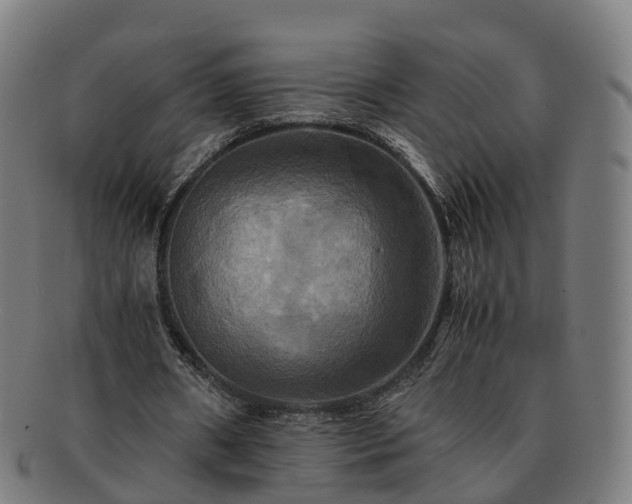 X0000091710482200708311119