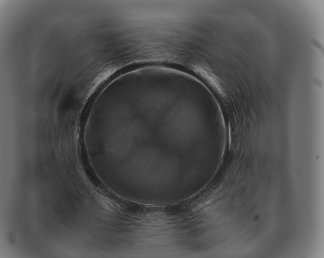 X0000091710483200708311119