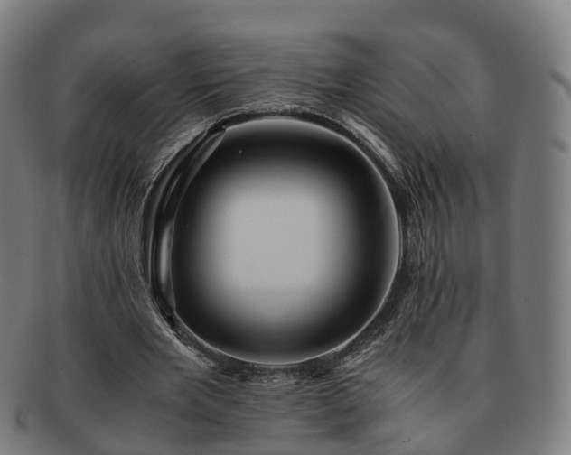 X0000091710485200708311119