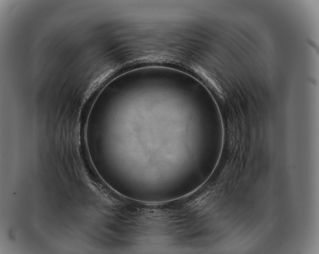 X0000091710486200708311119