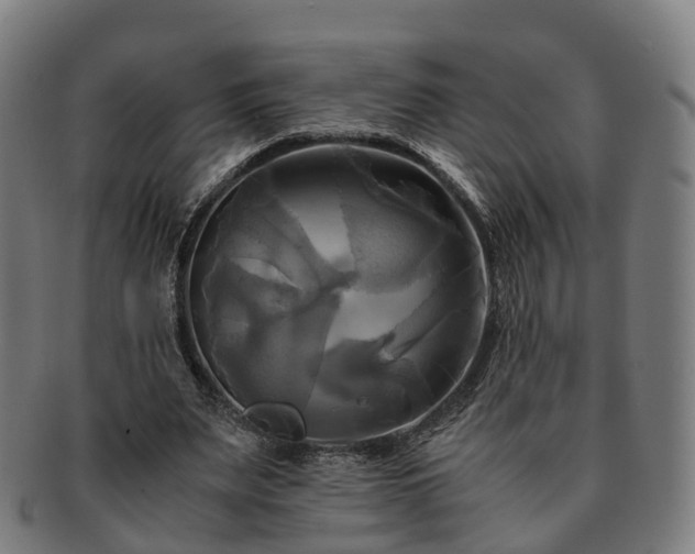 X0000091710487200708311119