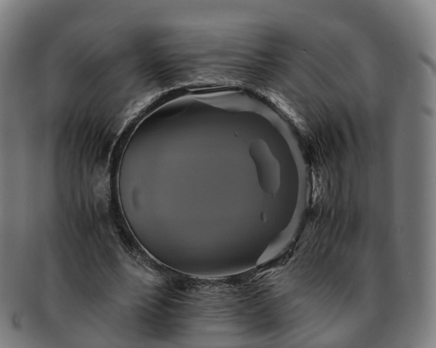 X0000091710488200708311119