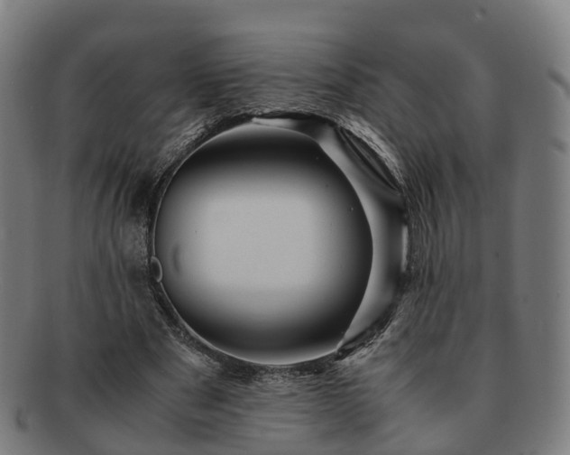 X0000091710489200708311119