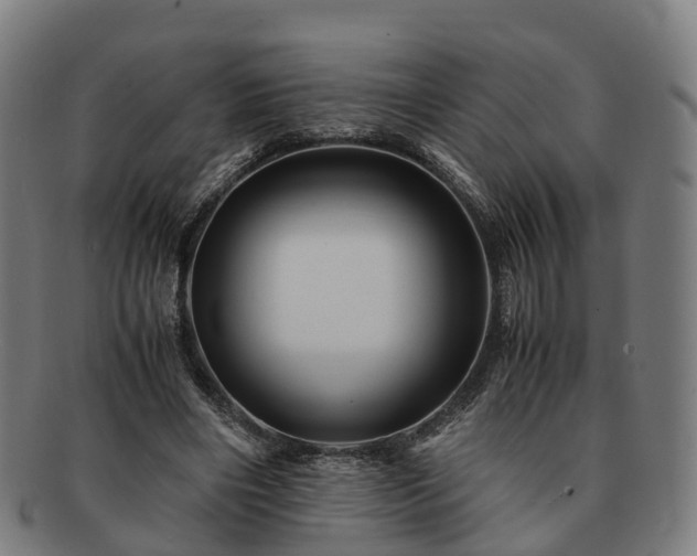 X0000091710490200708311119