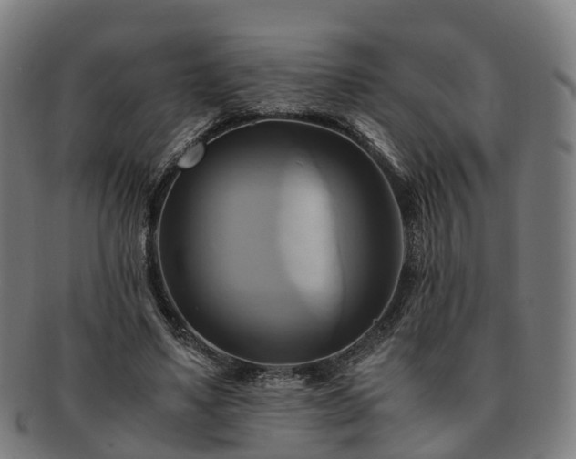 X0000091710491200708311119