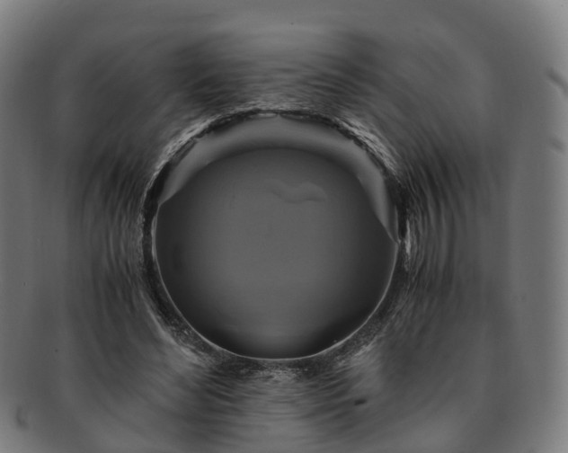 X0000091710492200708311119