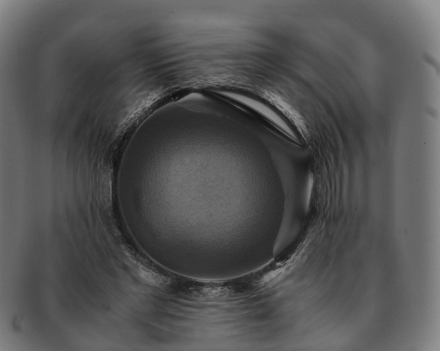 X0000091710493200708311119