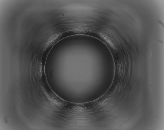 X0000091710494200708311119