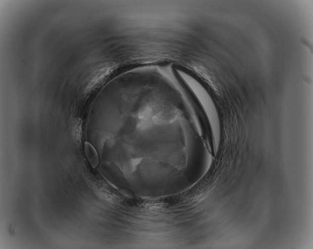 X0000091710495200708311119