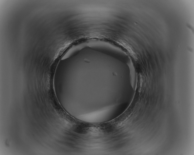 X0000091710496200708311119