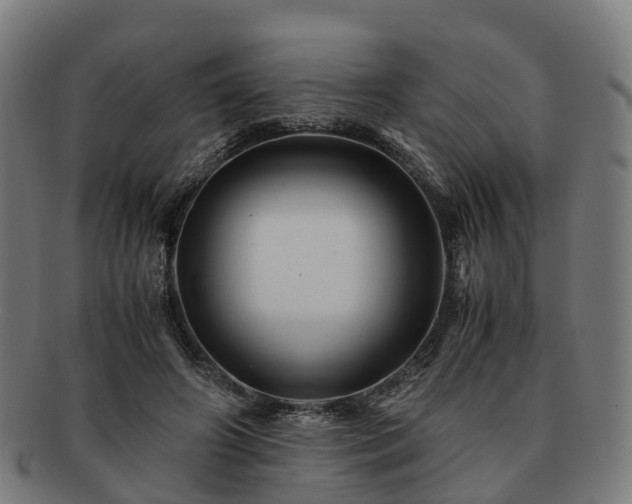 X0000091710498200708311119