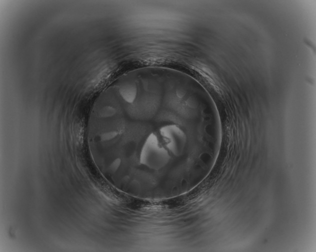 X0000091710499200708311119