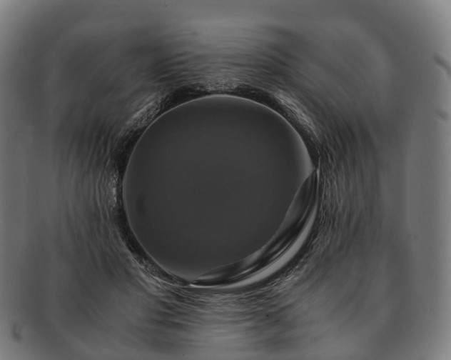 X0000091710501200708311119