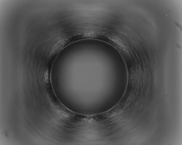 X0000091710502200708311119