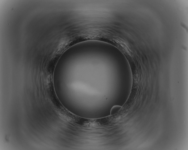 X0000091710503200708311119