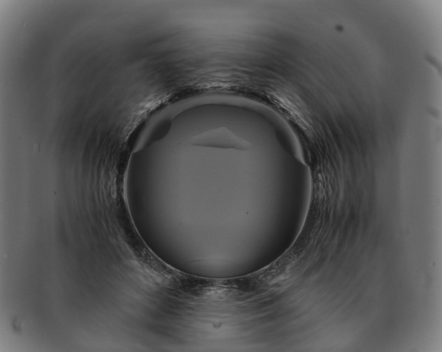 X0000091710504200708311119