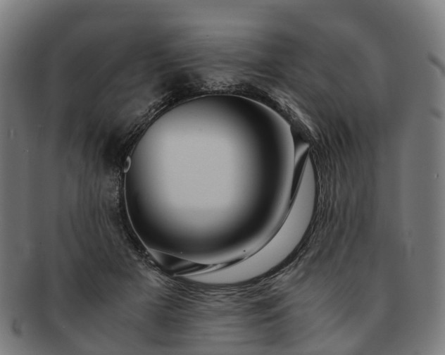 X0000091710505200708311119