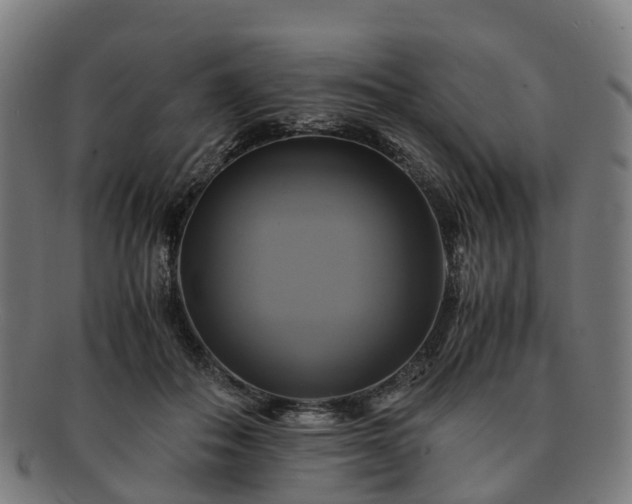 X0000091710506200708311119