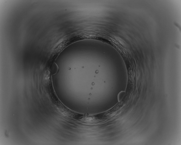 X0000091710507200708311119