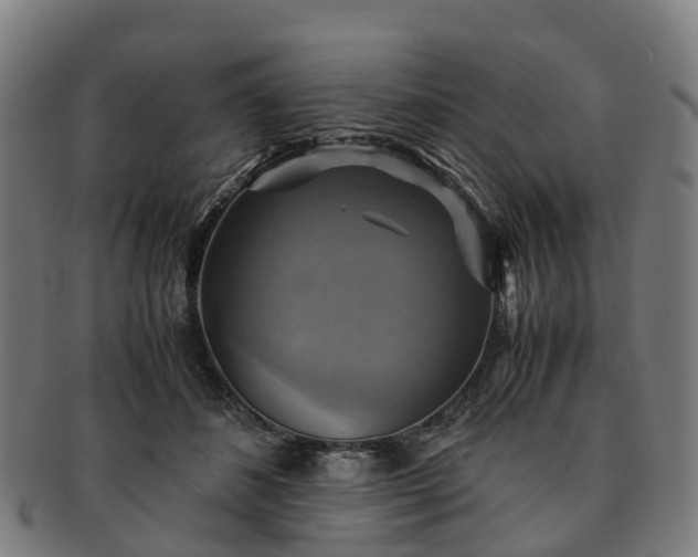 X0000091710508200708311119