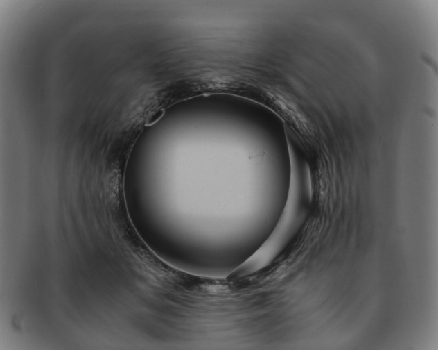 X0000091710509200708311119