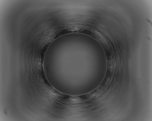 X0000091710510200708311119