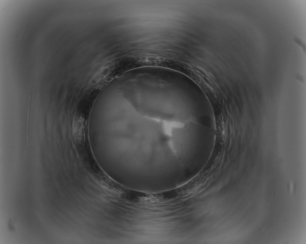 X0000091710511200708311119