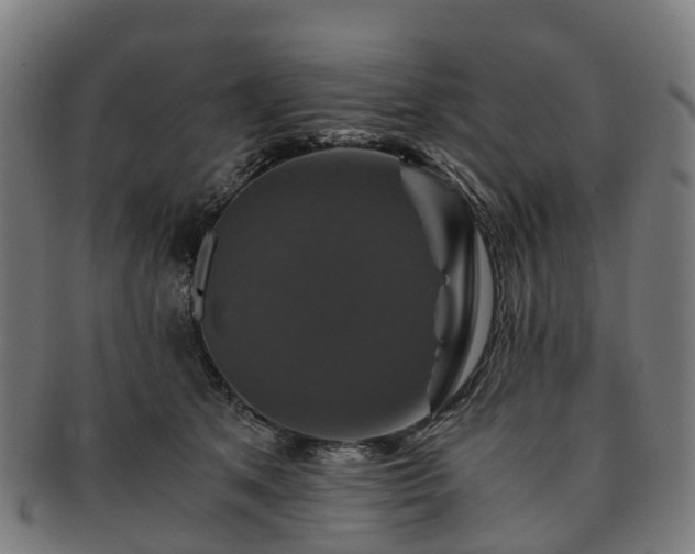 X0000091710513200708311119