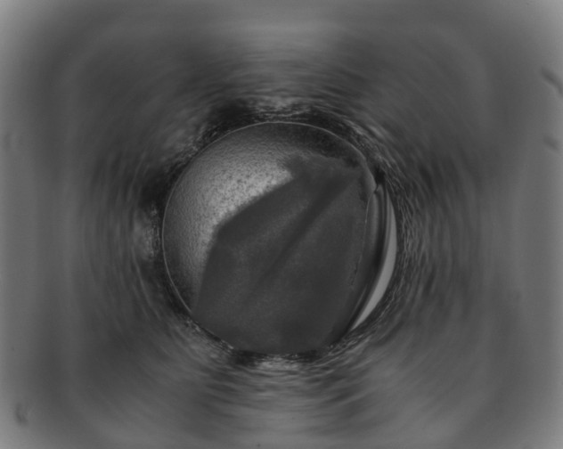 X0000091710515200708311119