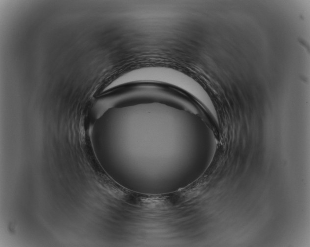 X0000091710516200708311119