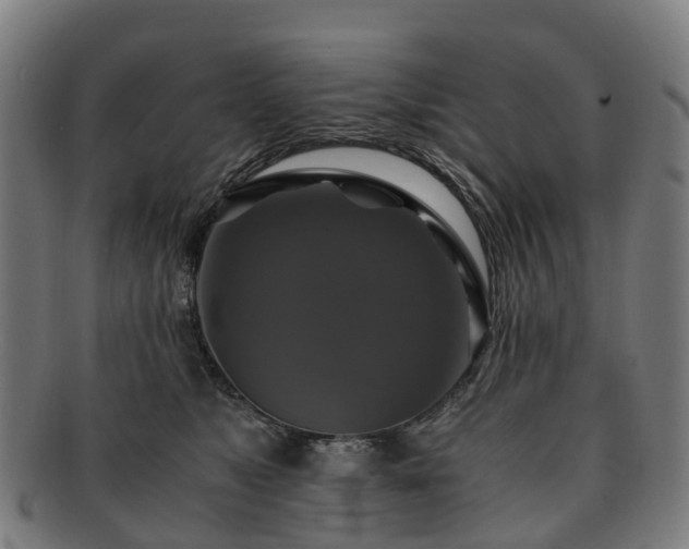 X0000091710517200708311119