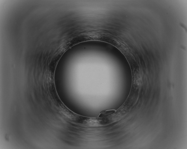 X0000091710518200708311119