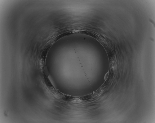 X0000091710519200708311119