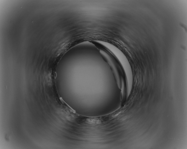 X0000091710520200708311119